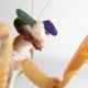 Illustration for article titled Scientists Gave Praying Mantises Tiny 3D Glasses to Prove They Have 3D Vision